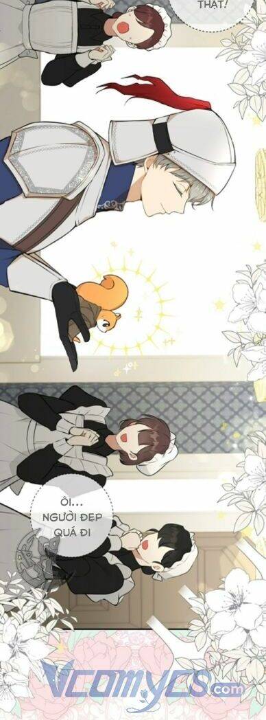 Sóc Con Tài Năng Chapter 3 - Trang 2