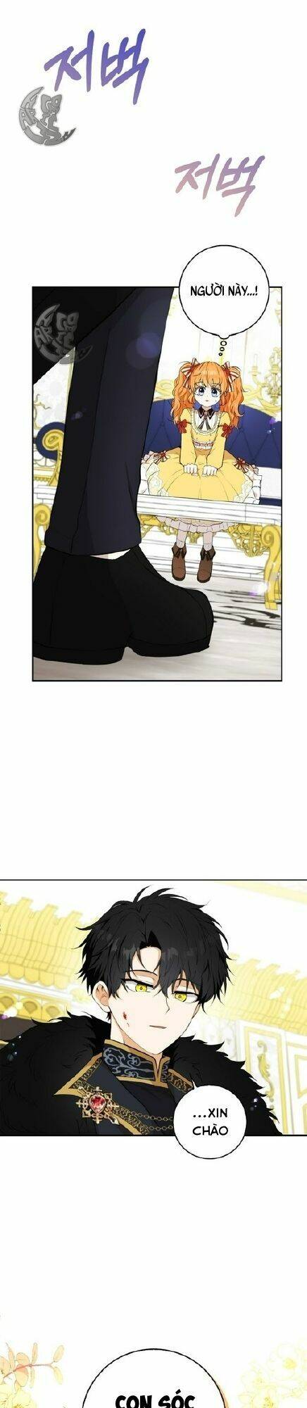 Sóc Con Tài Năng Chapter 3 - Trang 2