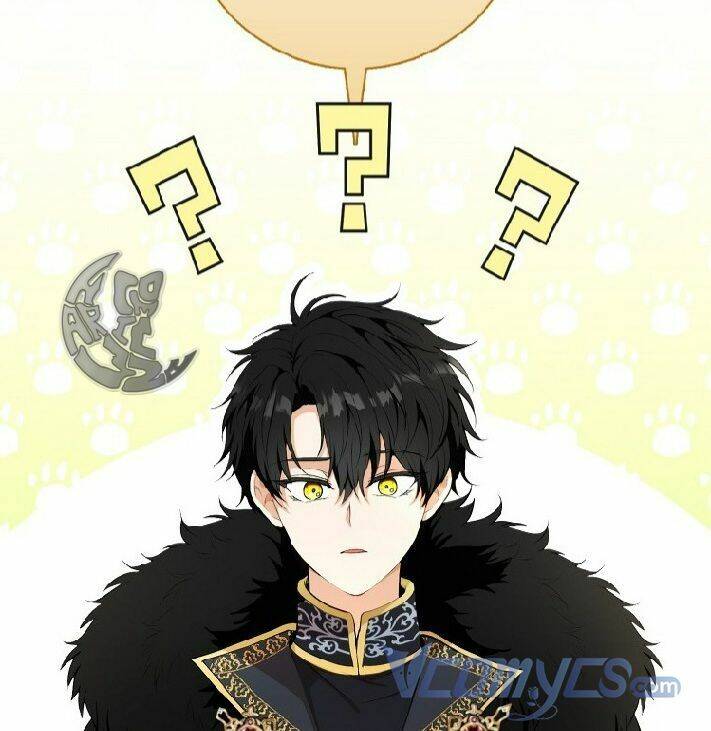 Sóc Con Tài Năng Chapter 4 - Trang 2