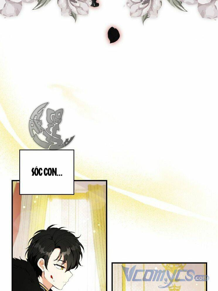 Sóc Con Tài Năng Chapter 4 - Trang 2