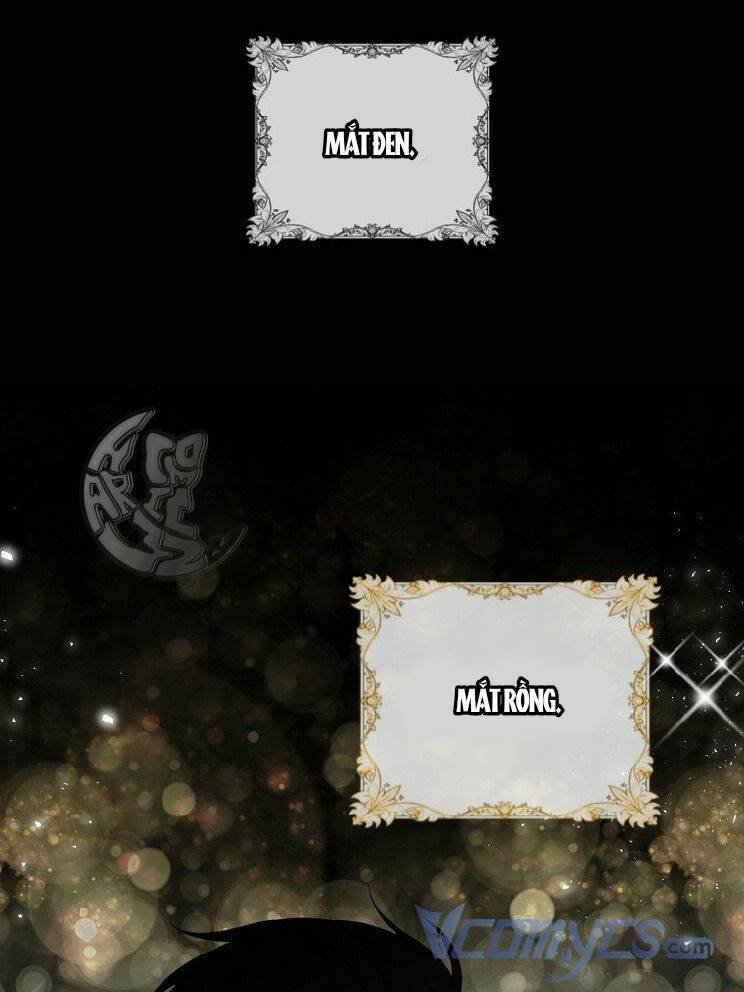 Sóc Con Tài Năng Chapter 4 - Trang 2