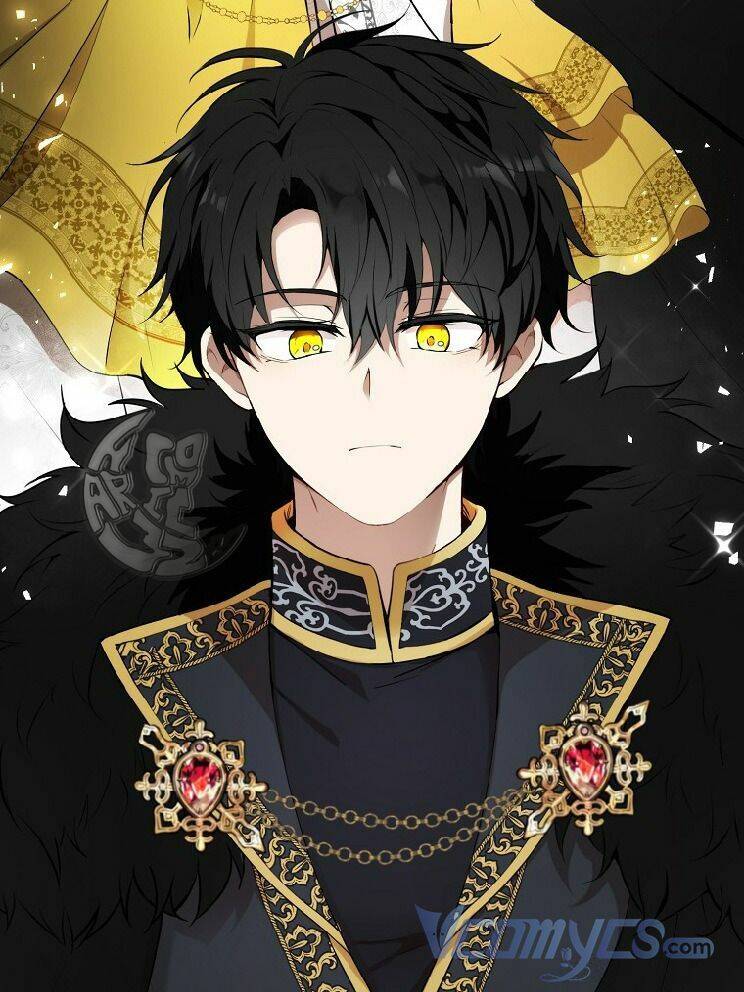 Sóc Con Tài Năng Chapter 4 - Trang 2