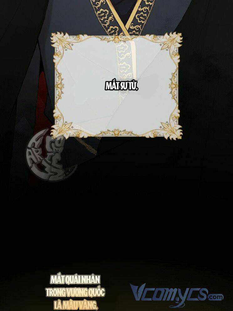 Sóc Con Tài Năng Chapter 4 - Trang 2