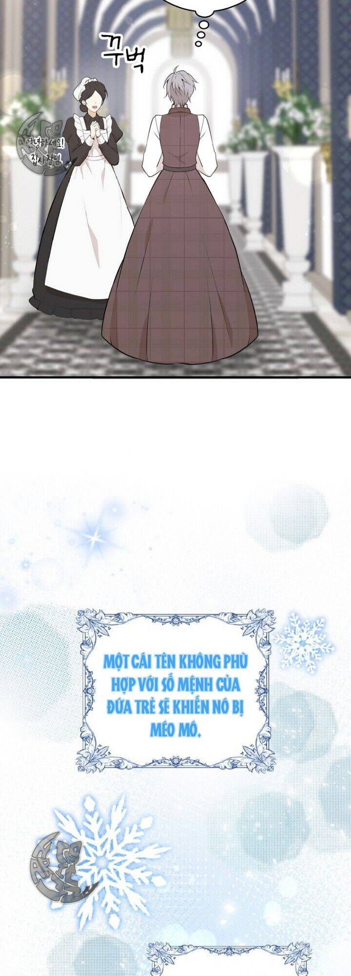 Sóc Con Tài Năng Chapter 5 - Trang 2