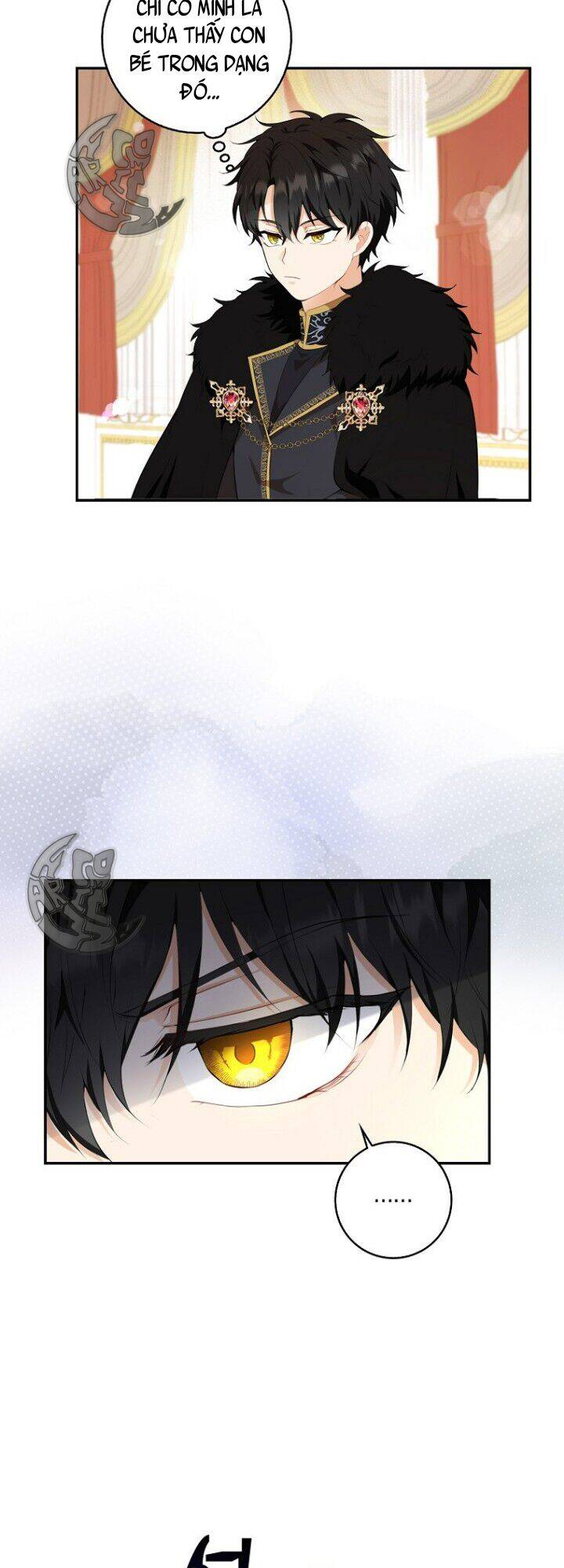 Sóc Con Tài Năng Chapter 5 - Trang 2