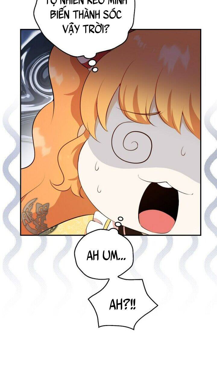 Sóc Con Tài Năng Chapter 5 - Trang 2