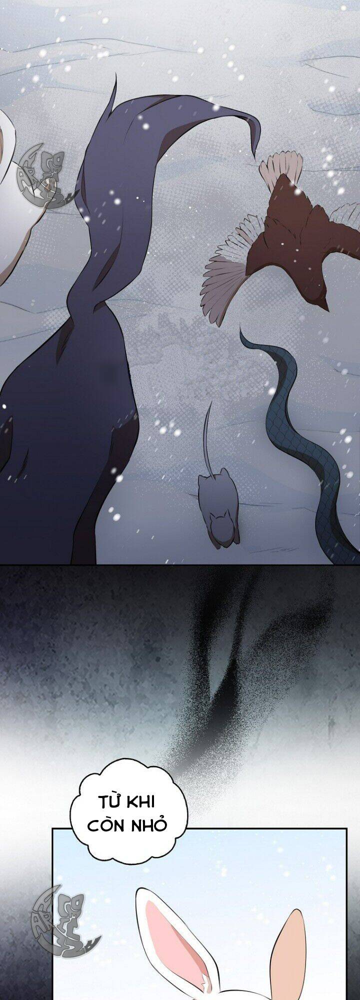 Sóc Con Tài Năng Chapter 5 - Trang 2