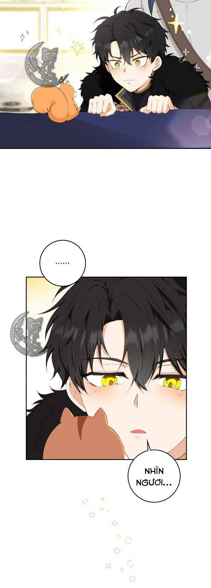 Sóc Con Tài Năng Chapter 5 - Trang 2