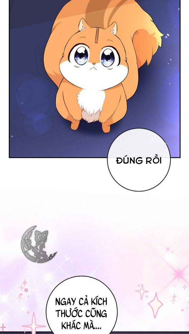 Sóc Con Tài Năng Chapter 5 - Trang 2