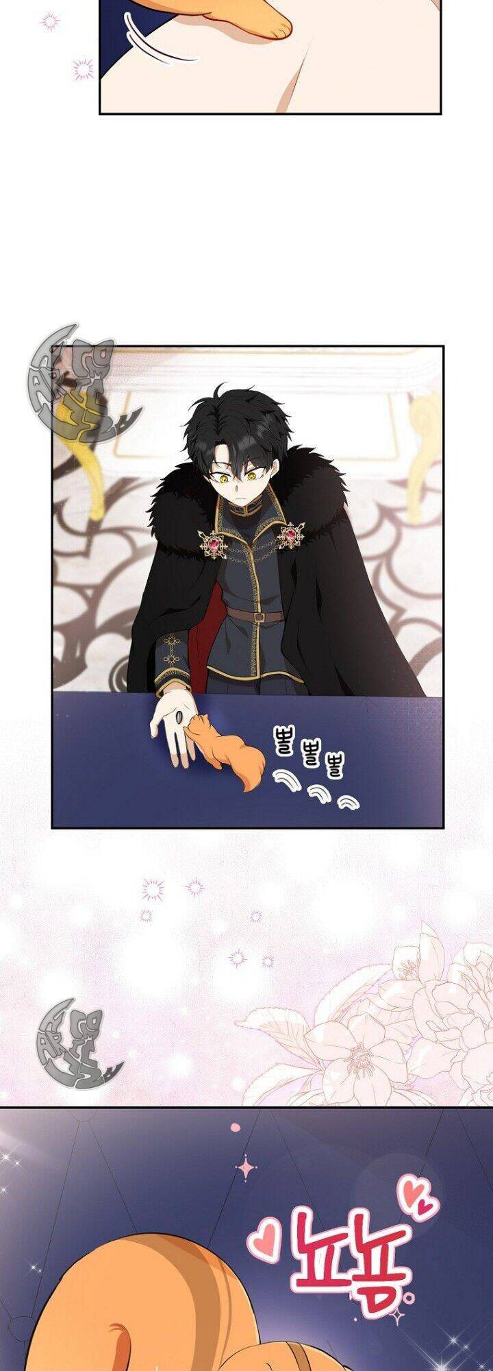 Sóc Con Tài Năng Chapter 5 - Trang 2