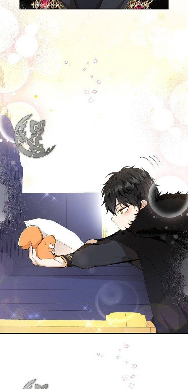 Sóc Con Tài Năng Chapter 5 - Trang 2