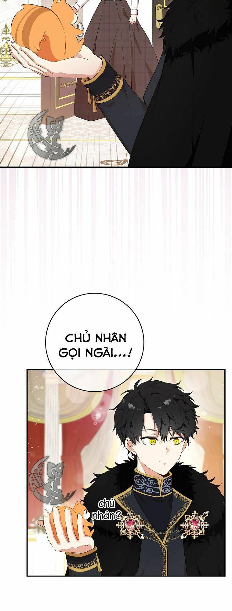 Sóc Con Tài Năng Chapter 6 - Trang 2