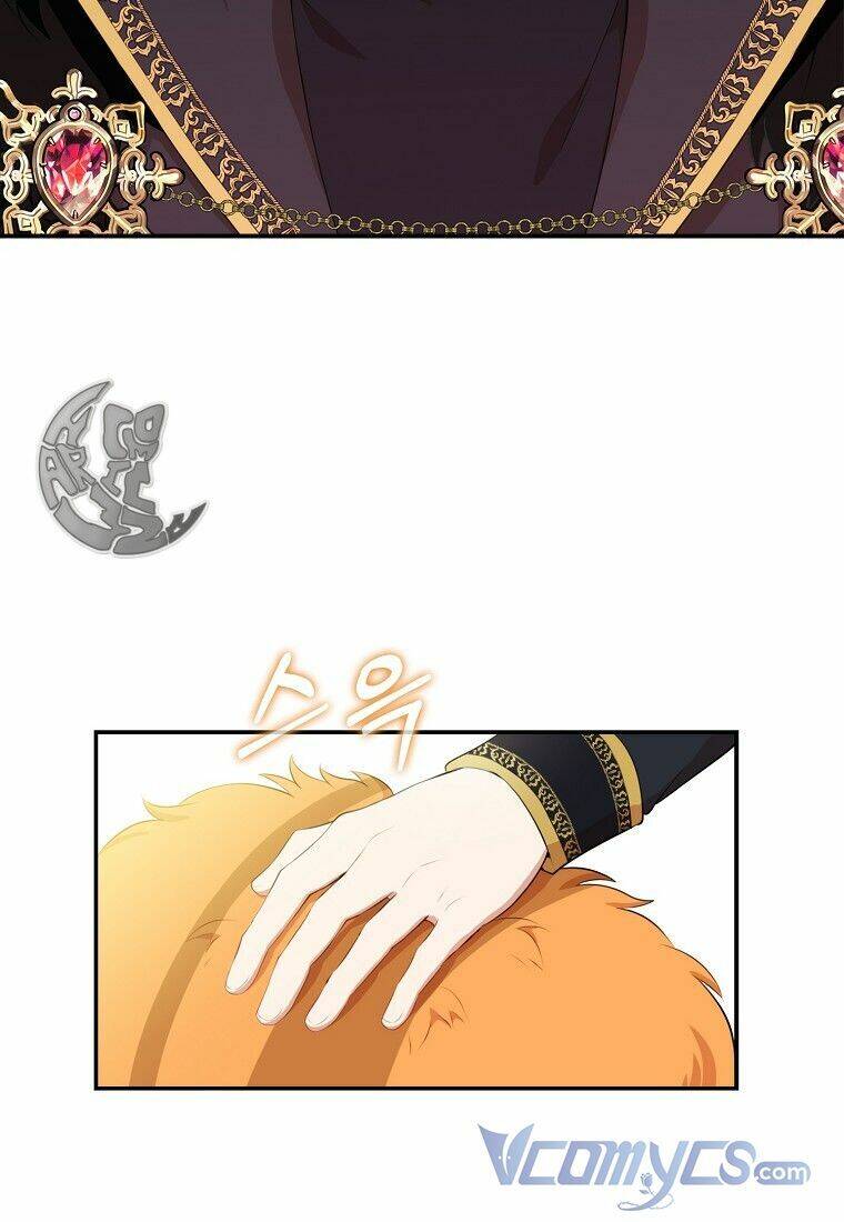 Sóc Con Tài Năng Chapter 7 - Trang 2