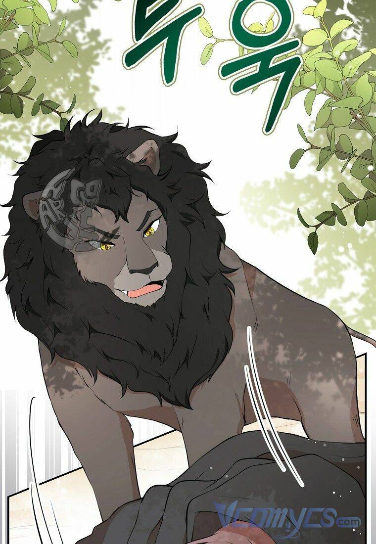 Sóc Con Tài Năng Chapter 8 - Trang 2