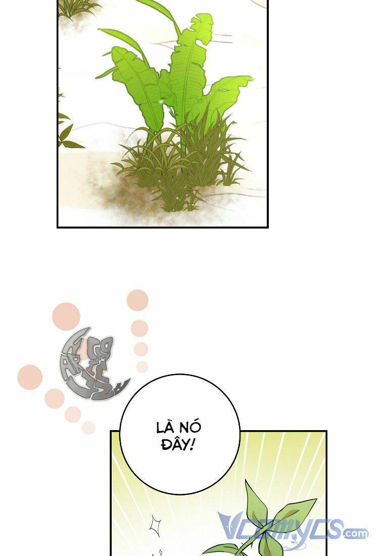 Sóc Con Tài Năng Chapter 8 - Trang 2