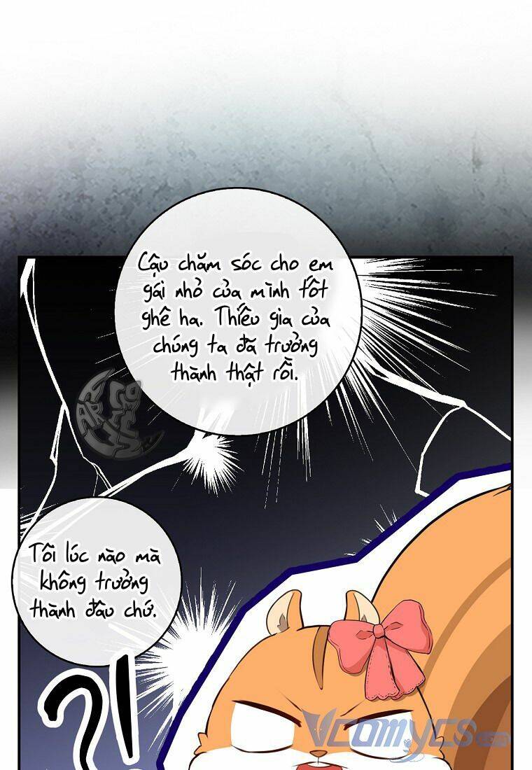 Sóc Con Tài Năng Chapter 11 - Trang 2