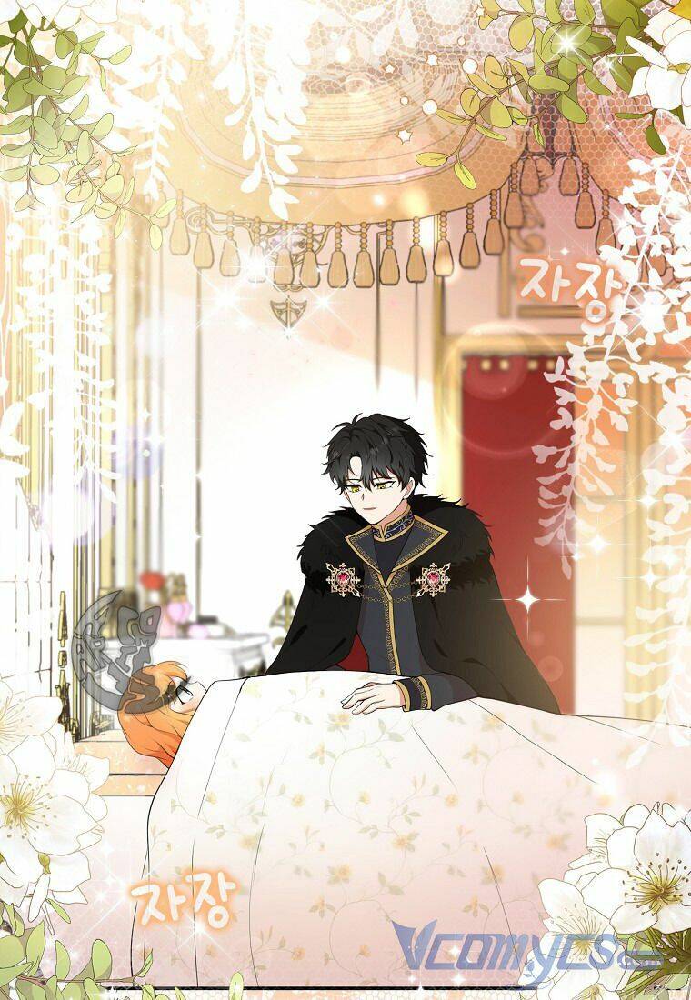 Sóc Con Tài Năng Chapter 11 - Trang 2