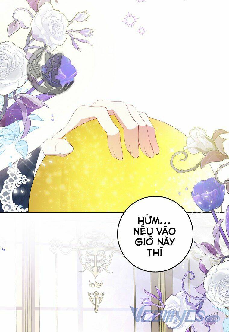 Sóc Con Tài Năng Chapter 11 - Trang 2