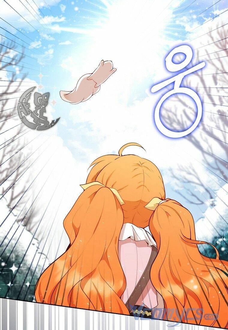 Sóc Con Tài Năng Chapter 12 - Trang 2