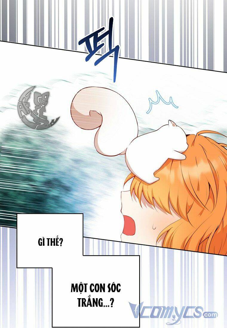 Sóc Con Tài Năng Chapter 12 - Trang 2