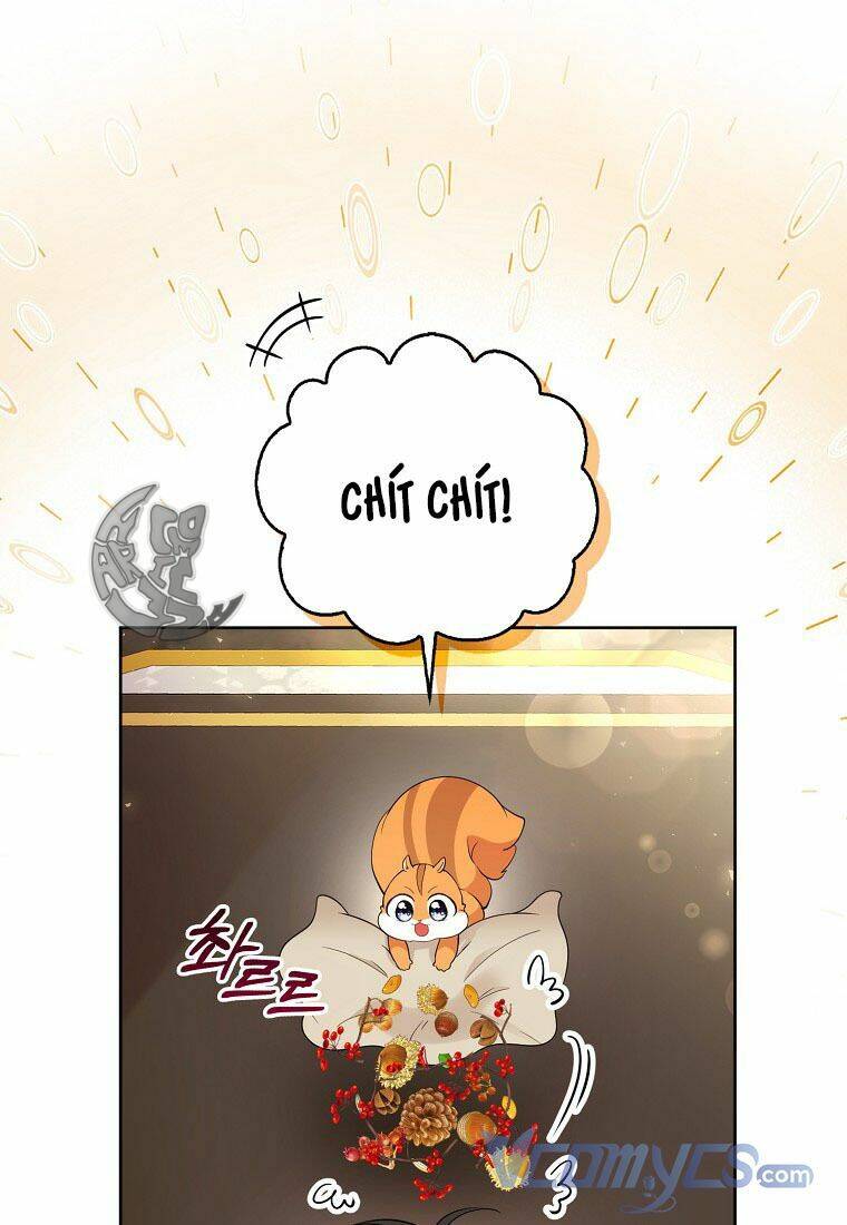Sóc Con Tài Năng Chapter 12 - Trang 2