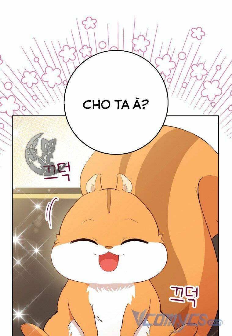 Sóc Con Tài Năng Chapter 12 - Trang 2