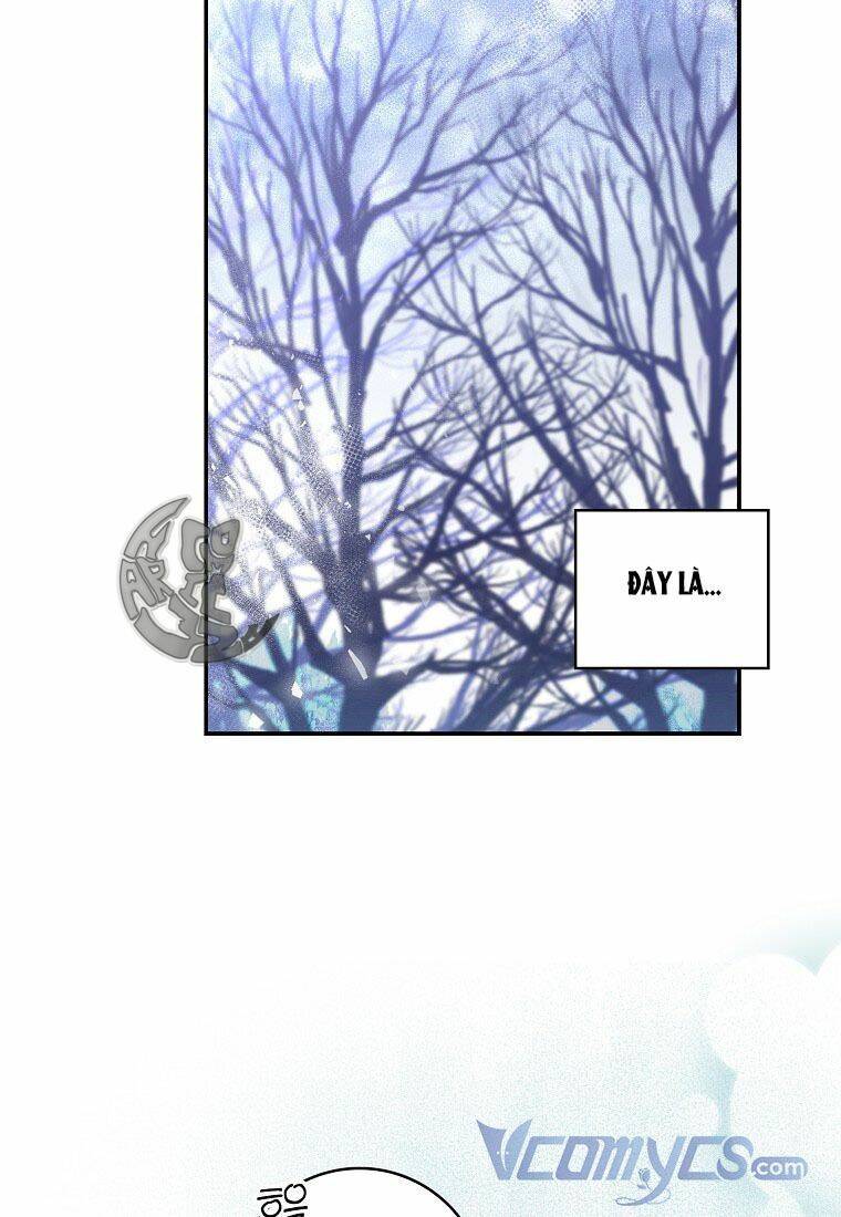 Sóc Con Tài Năng Chapter 13 - Trang 2