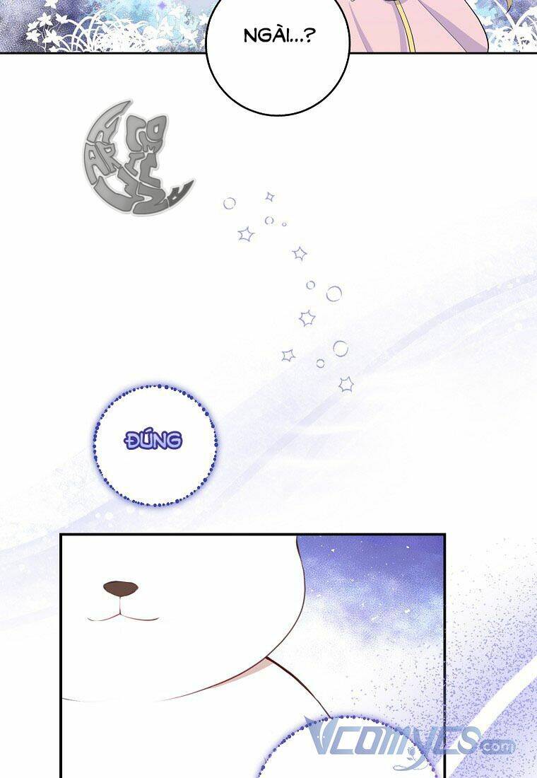 Sóc Con Tài Năng Chapter 13 - Trang 2