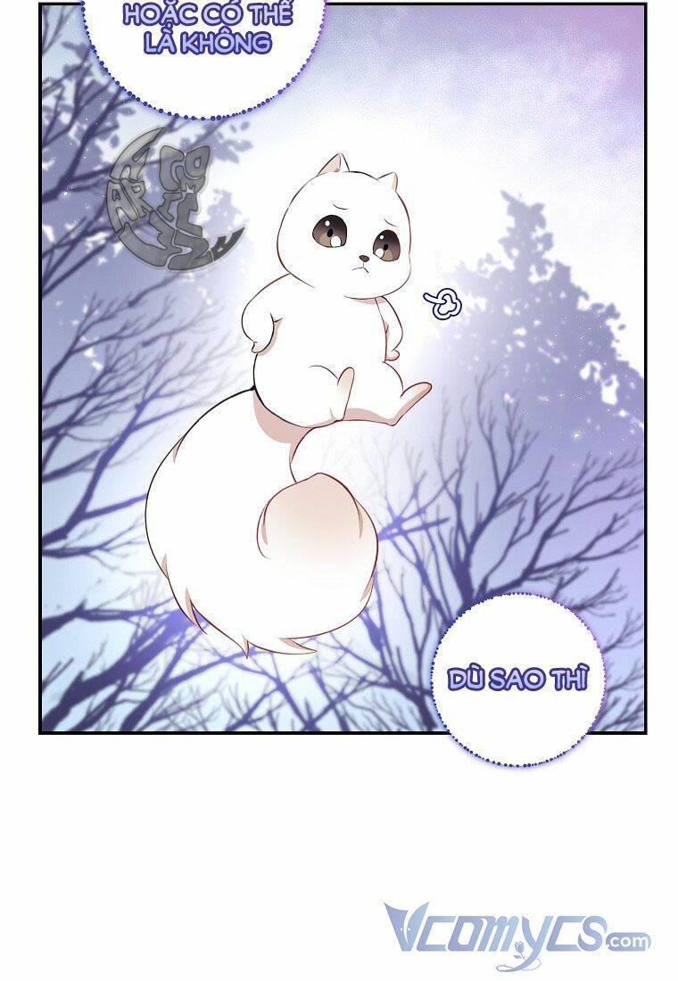 Sóc Con Tài Năng Chapter 13 - Trang 2
