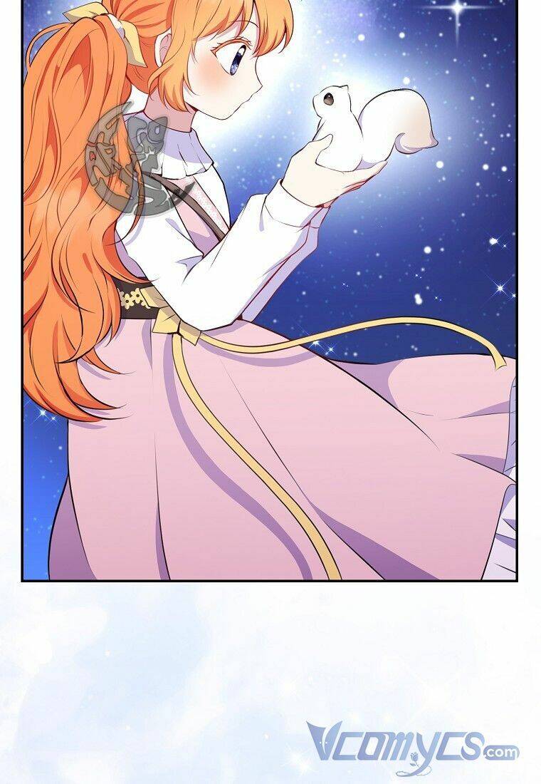 Sóc Con Tài Năng Chapter 13 - Trang 2