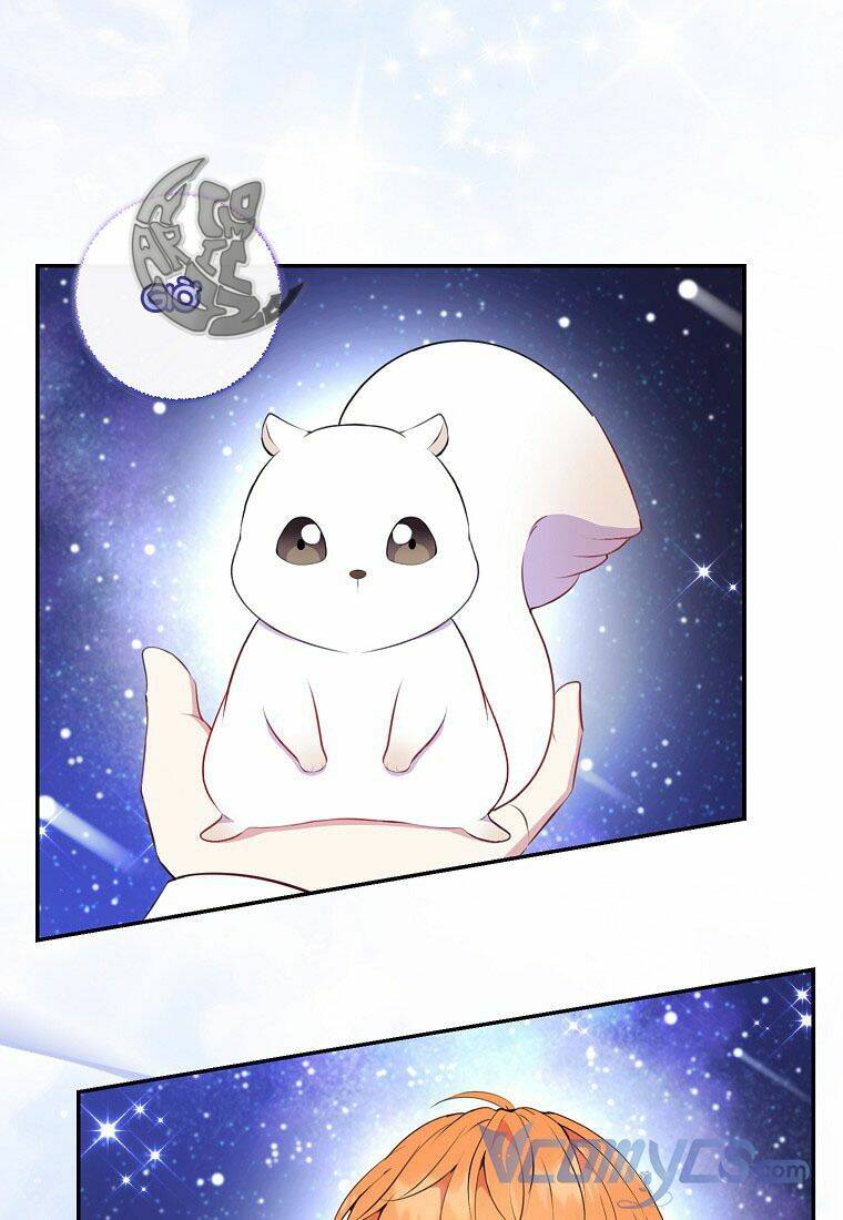 Sóc Con Tài Năng Chapter 13 - Trang 2