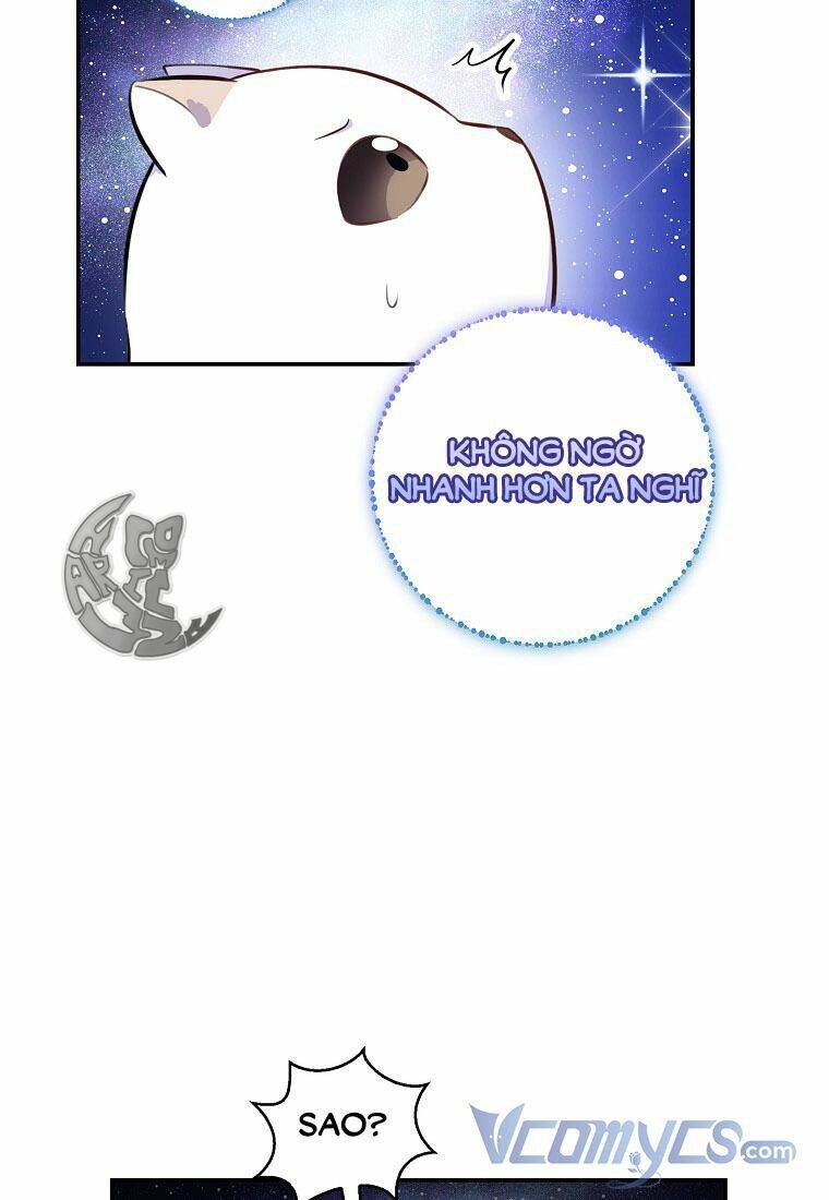 Sóc Con Tài Năng Chapter 13 - Trang 2