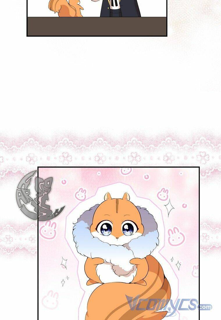 Sóc Con Tài Năng Chapter 13 - Trang 2