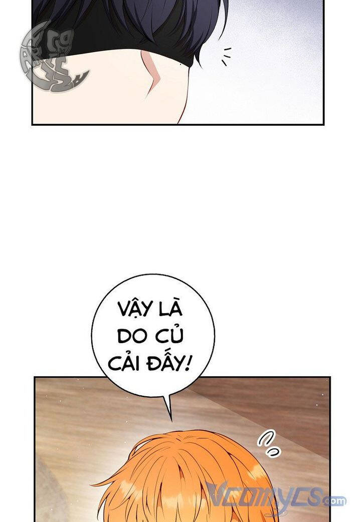 Sóc Con Tài Năng Chapter 16 - Trang 2