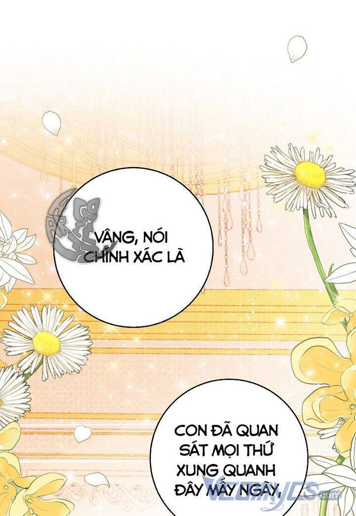 Sóc Con Tài Năng Chapter 18 - Trang 2