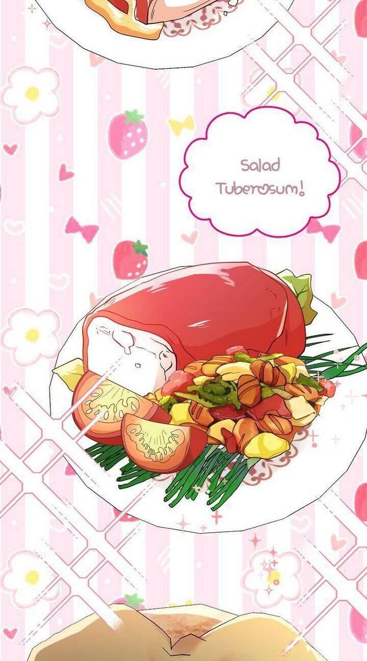 Sóc Con Tài Năng Chapter 19 - Trang 2