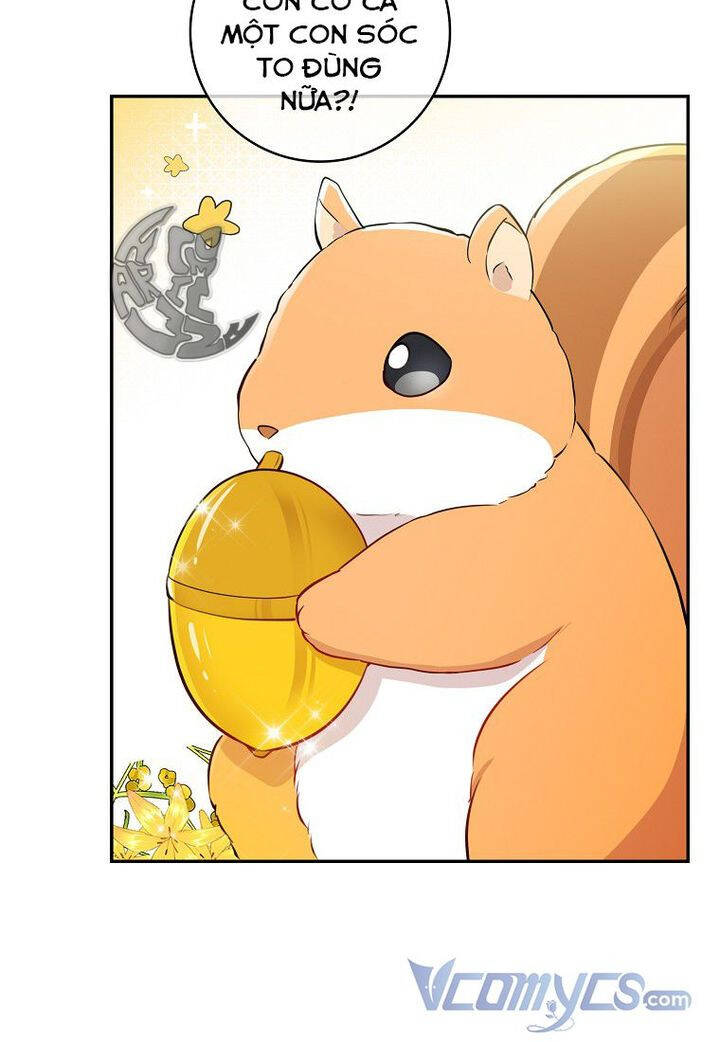 Sóc Con Tài Năng Chapter 21 - Trang 2