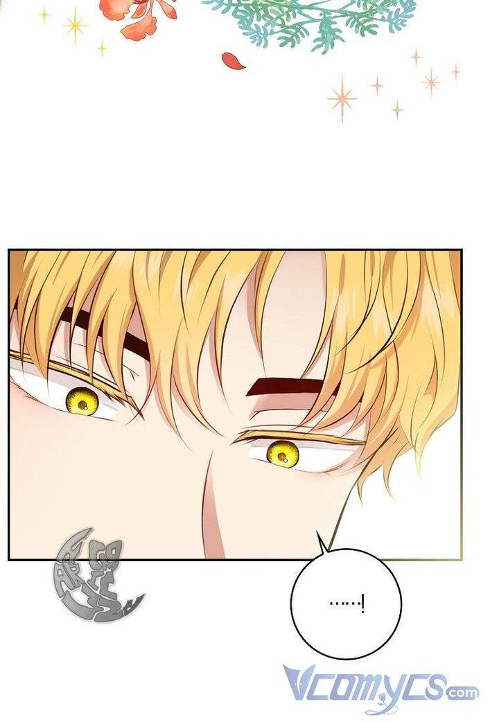 Sóc Con Tài Năng Chapter 21 - Trang 2