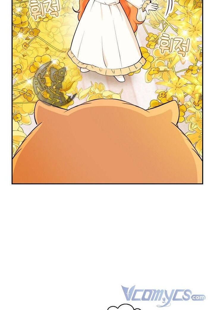 Sóc Con Tài Năng Chapter 21 - Trang 2