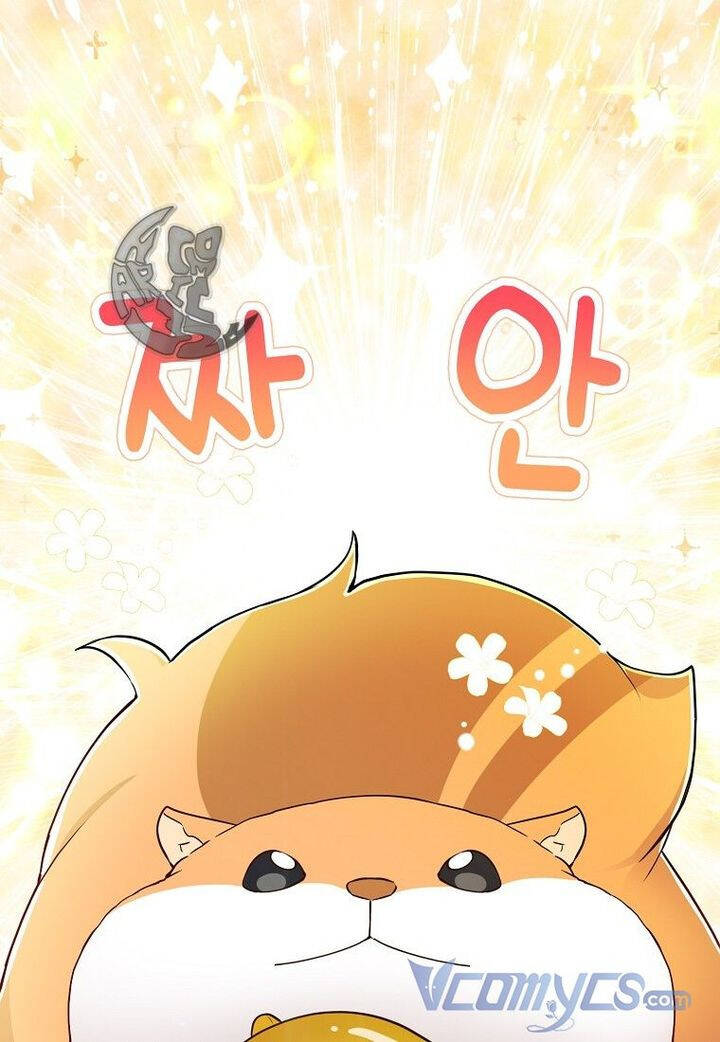 Sóc Con Tài Năng Chapter 21 - Trang 2