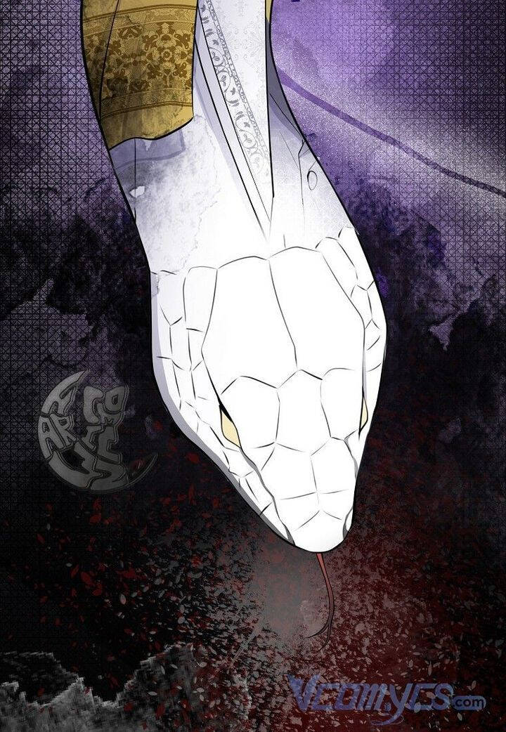 Sóc Con Tài Năng Chapter 21 - Trang 2