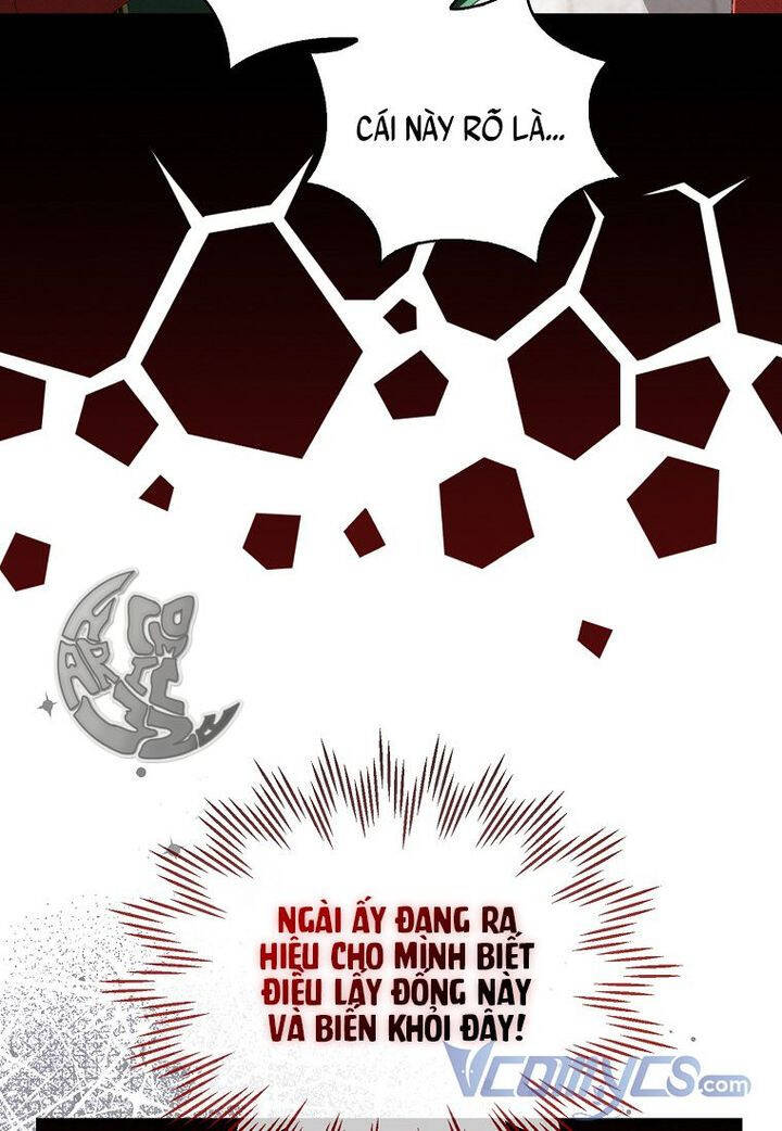 Sóc Con Tài Năng Chapter 21 - Trang 2