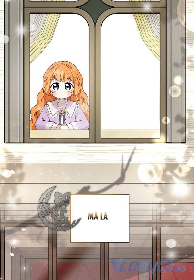 Sóc Con Tài Năng Chapter 22 - Trang 2