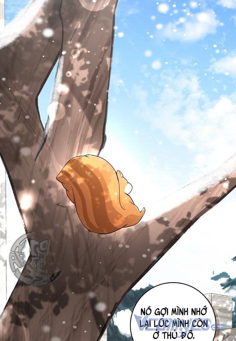 Sóc Con Tài Năng Chapter 22 - Trang 2