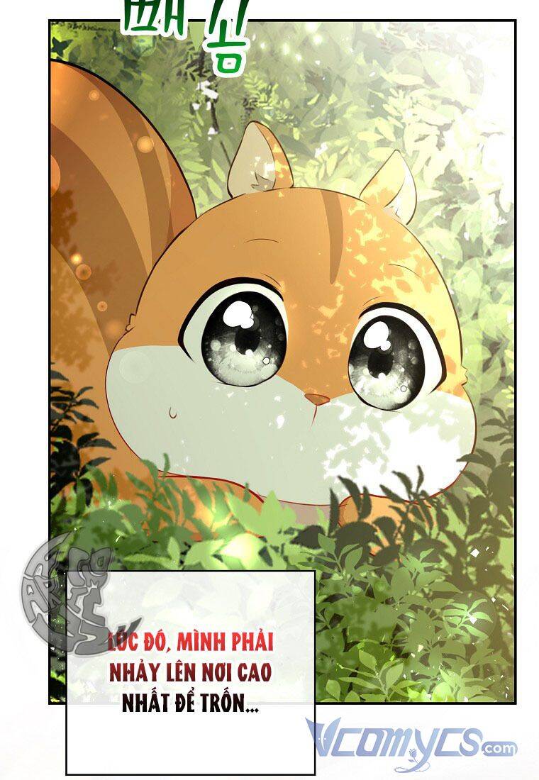 Sóc Con Tài Năng Chapter 22 - Trang 2