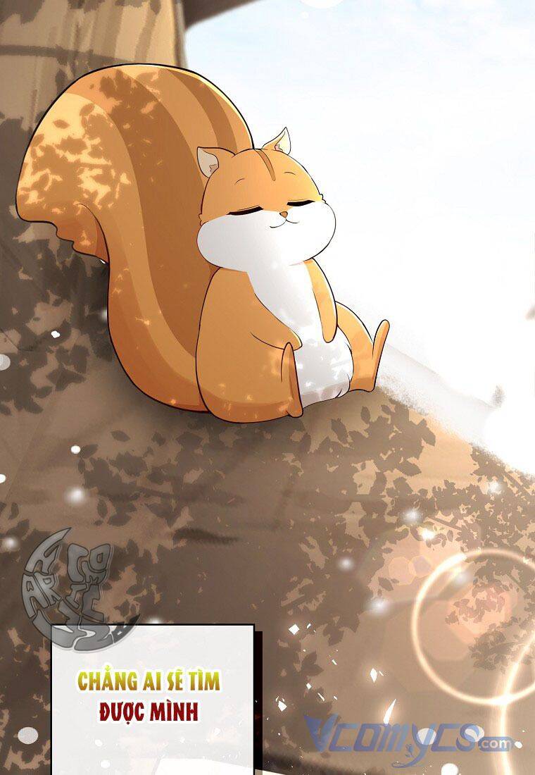 Sóc Con Tài Năng Chapter 22 - Trang 2