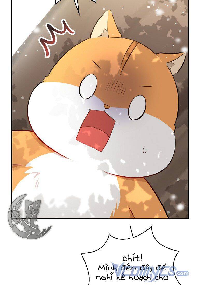 Sóc Con Tài Năng Chapter 22 - Trang 2