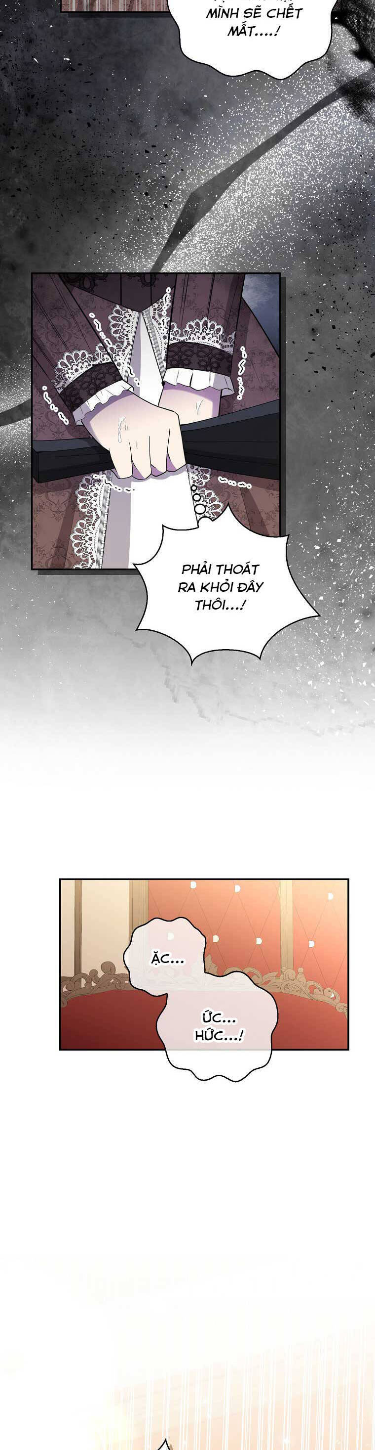 Sóc Con Tài Năng Chapter 24 - Trang 2