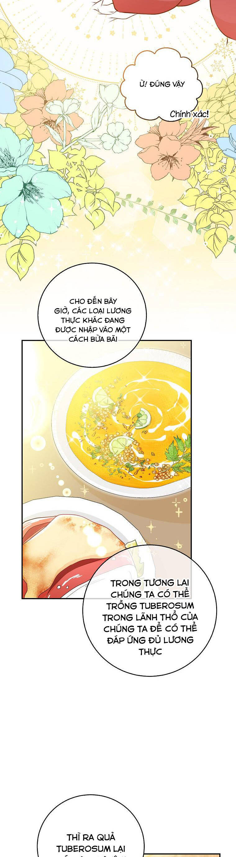 Sóc Con Tài Năng Chapter 26 - Trang 2