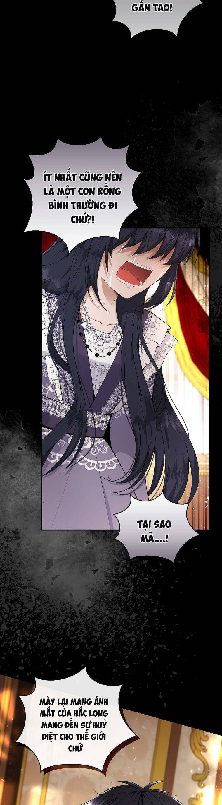 Sóc Con Tài Năng Chapter 31 - Trang 2